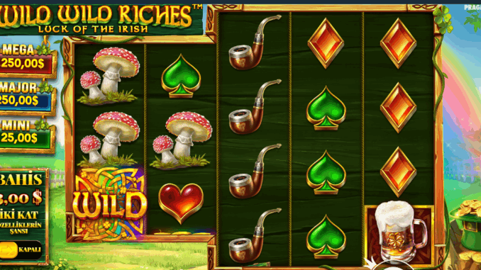 Wild Wild Riches Wild Wild Riches